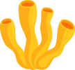 domain-top-shape